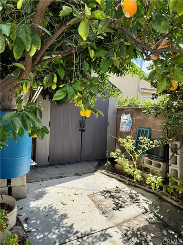 a view of a potted plant in front of a house