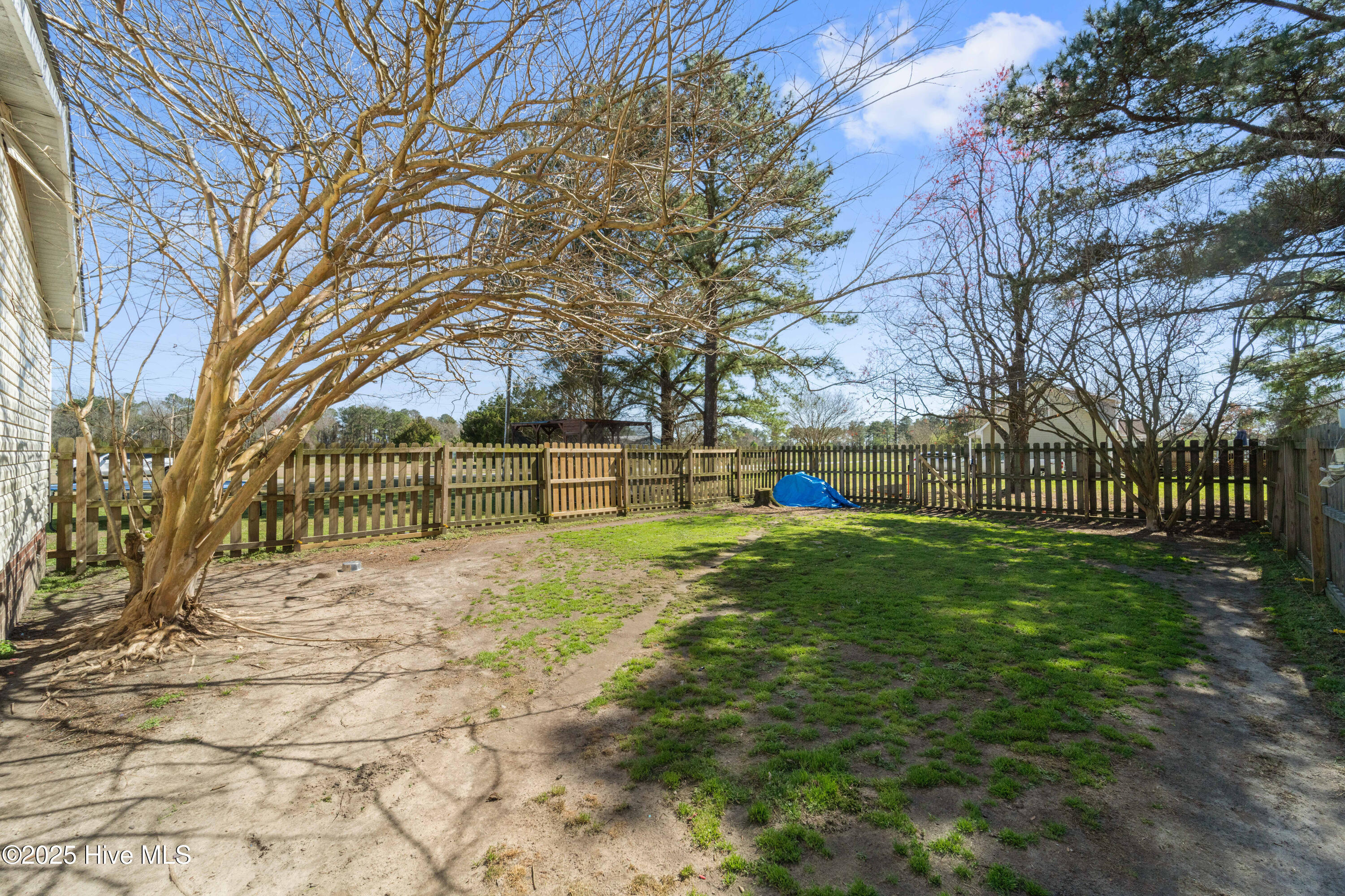 384 Futrell Road Richlands, NC 28574 - Photo 47 of 48 DSC05637