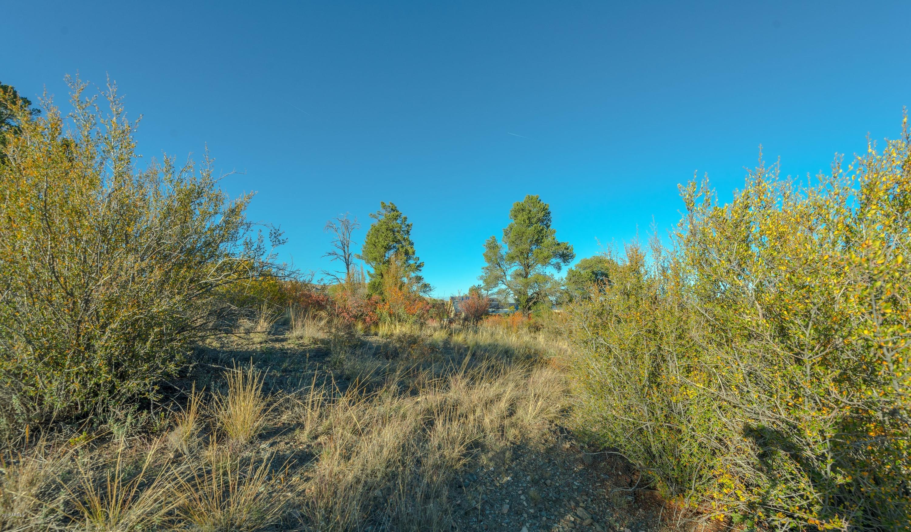 1101 Rhinestone Drive, Unit 755 Prescott, AZ 86301 - Photo 21 of 25 021_View of Lot