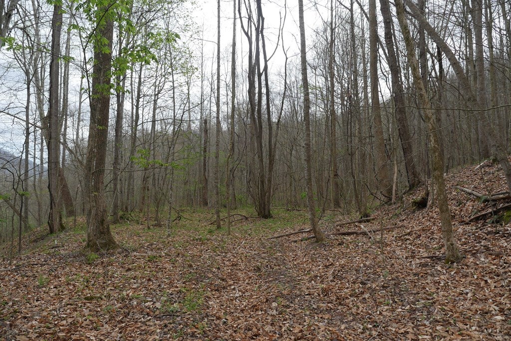Tbd Valley Spring Road, Unit 1 Jonesville, VA 24263 - Photo 20 of 55 Gallery Image 20