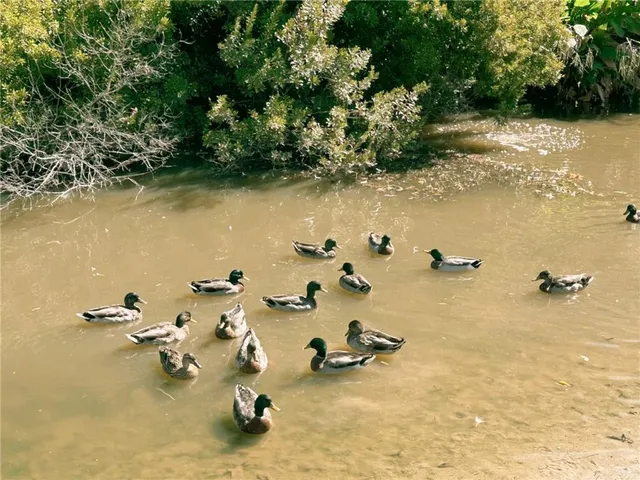 $115,000 | 733 Heavens Drive, Unit 2, Mandeville, LA 70471