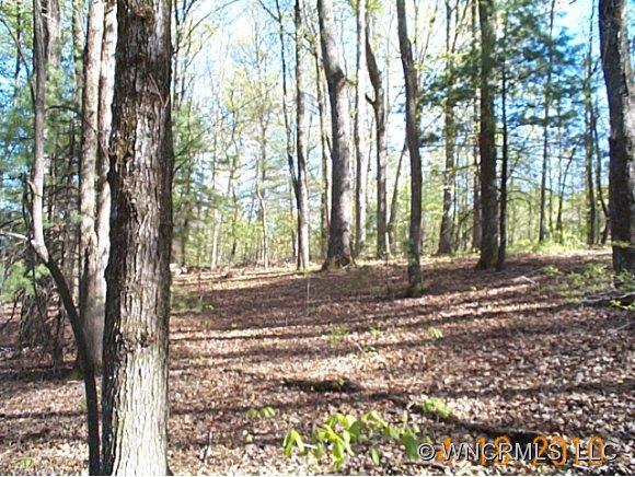 0 Seay Road Candler, NC 28715 - Photo 1 of 9 Gallery Image 1