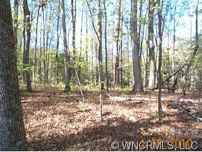 0 Seay Road Candler, NC 28715 - Photo 2 of 9 Gallery Image 2