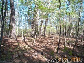 0 Seay Road Candler, NC 28715 - Photo 3 of 9 Gallery Image 3