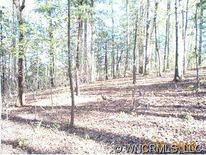 0 Seay Road Candler, NC 28715 - Photo 5 of 9 Gallery Image 5