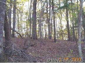 0 Seay Road Candler, NC 28715 - Photo 9 of 9 Gallery Image 9