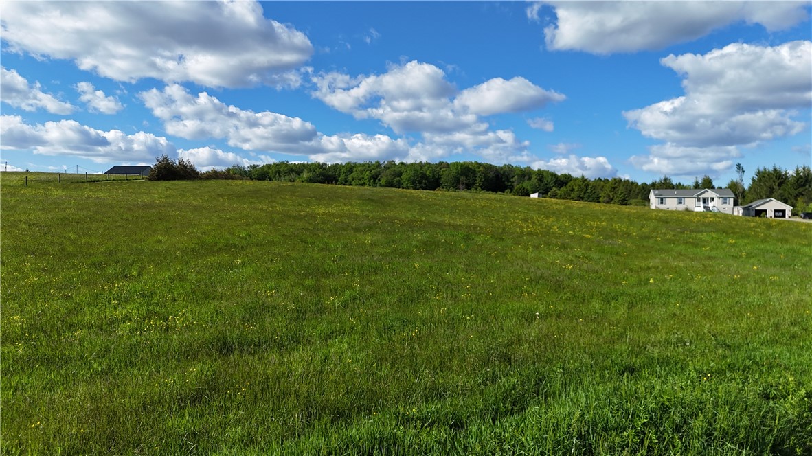 Edmunds Road Freedom, NY 14065 - Photo 3 of 15