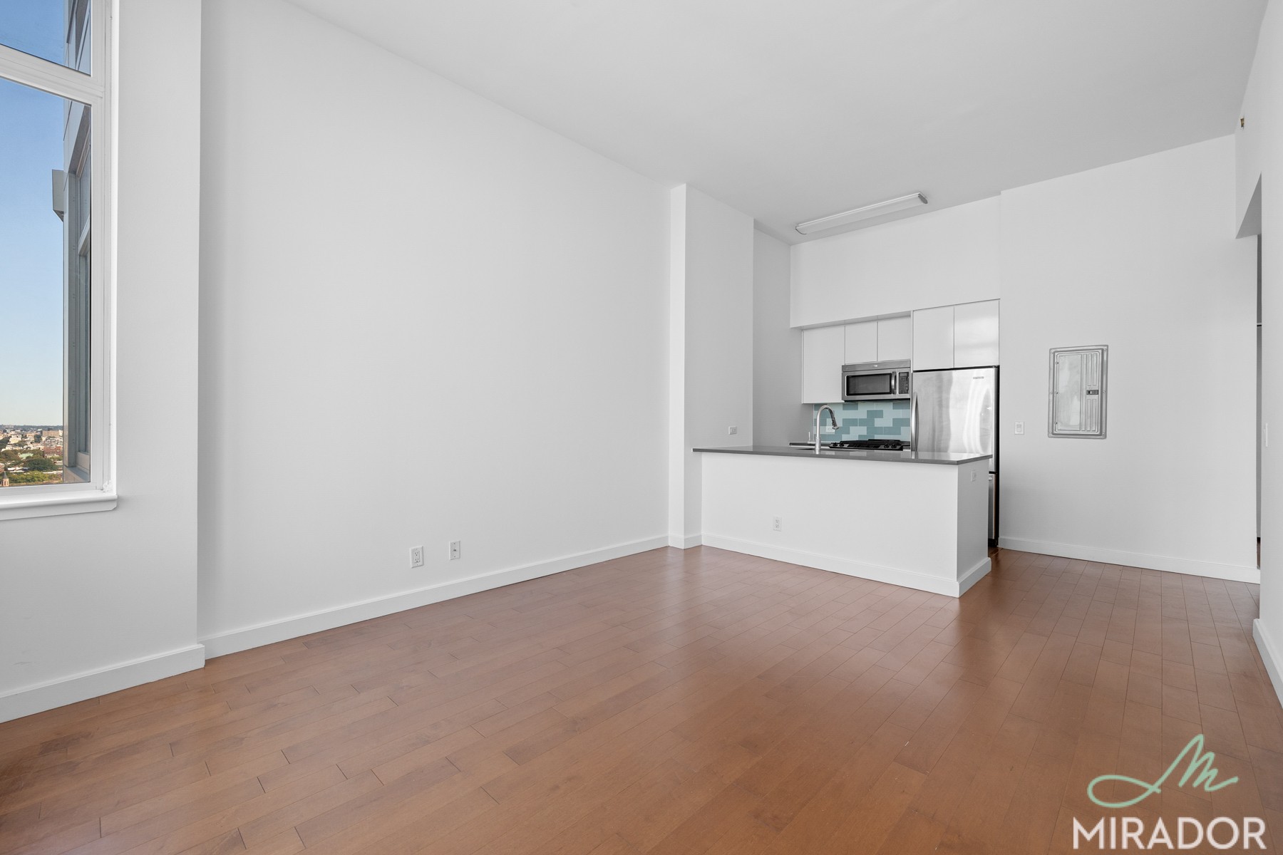 80 Dekalb Avenue, Unit 17G Brooklyn, NY 11201 - Photo 2 of 19 Photo 2