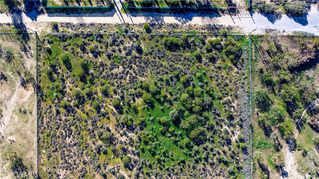 1 Apple Anza, CA 92539 - Photo 33 of 71