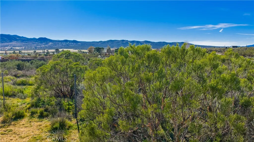 1 Apple Anza, CA 92539 - Photo 52 of 71