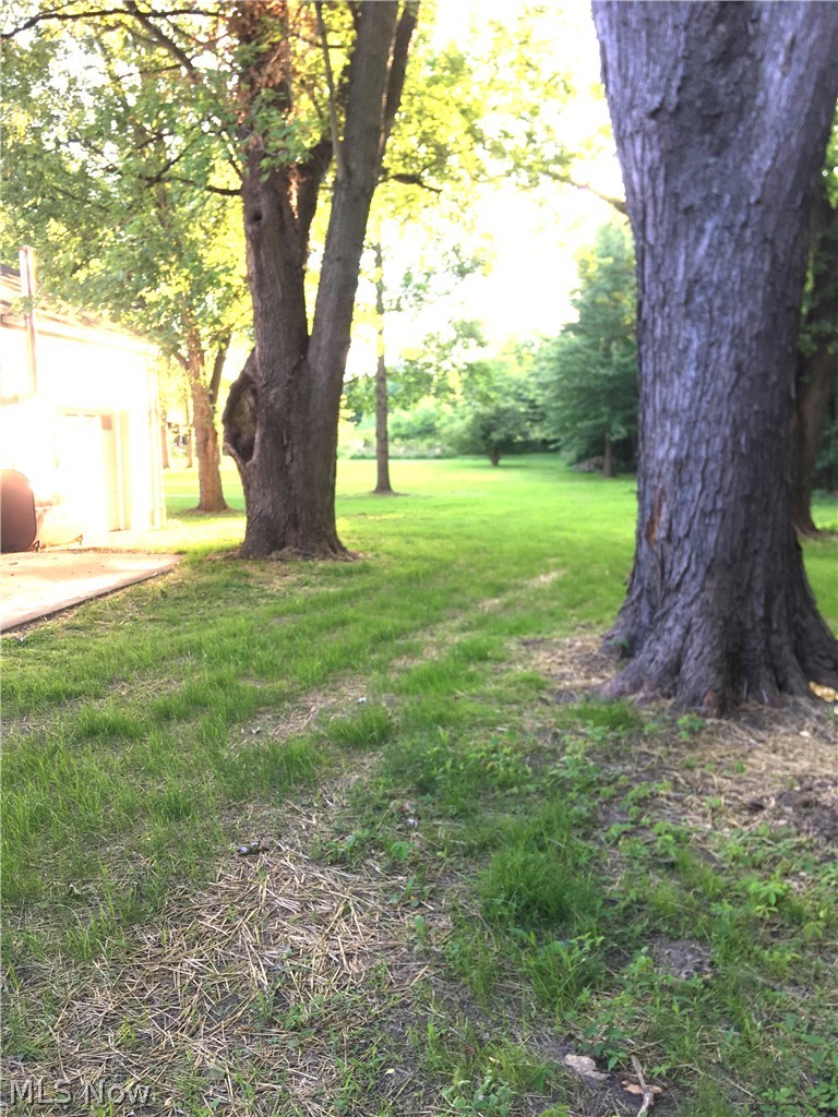 6133 Struthers Road Youngstown, OH 44514 - Photo 5 of 22 Gallery Image 5