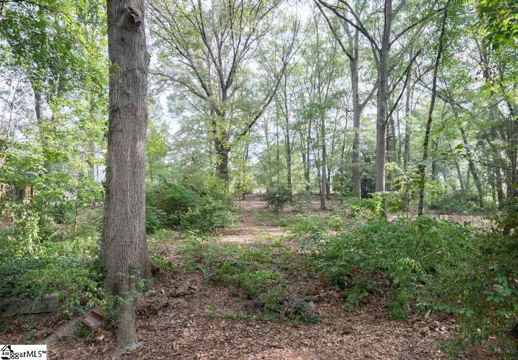 17 Spruce Street Greenville, SC 29607 - Photo 33 of 34
