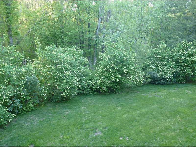 11 Waterman Farm Road Cumberland, RI 02864 - Photo 25 of 25 Yard/Garden.