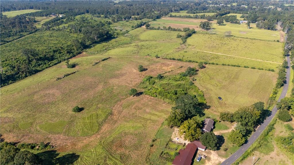 Tbd Bennie Morris Road Mount Hermon, LA 70450 - Photo 3 of 17