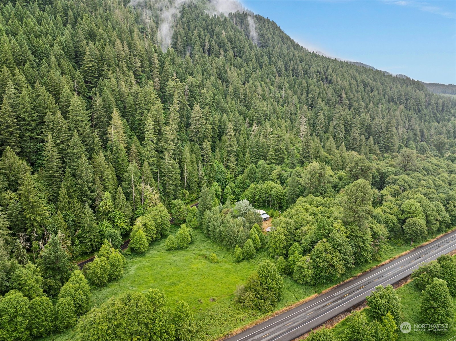 150 Davis Creek Road Randle, WA 98377 - Photo 2 of 31 Gallery Image 2