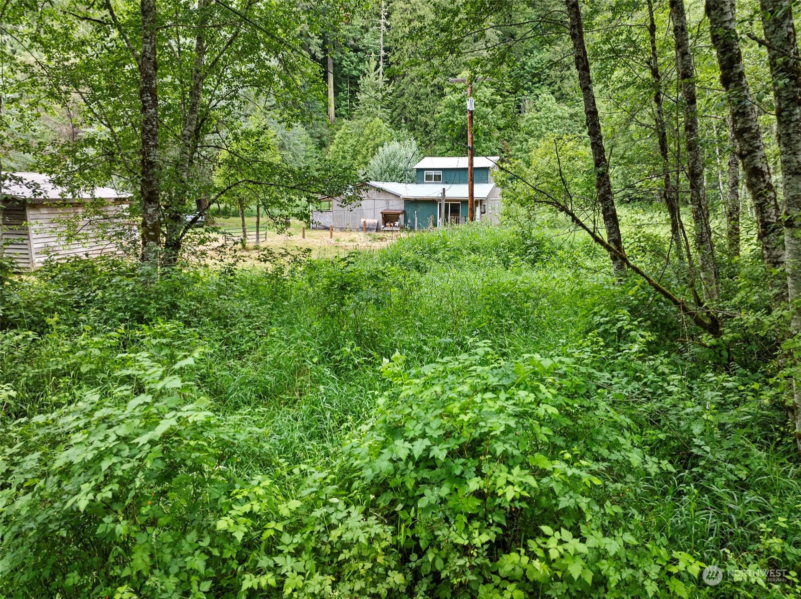 150 Davis Creek Road Randle, WA 98377 - Photo 25 of 31 Gallery Image 25