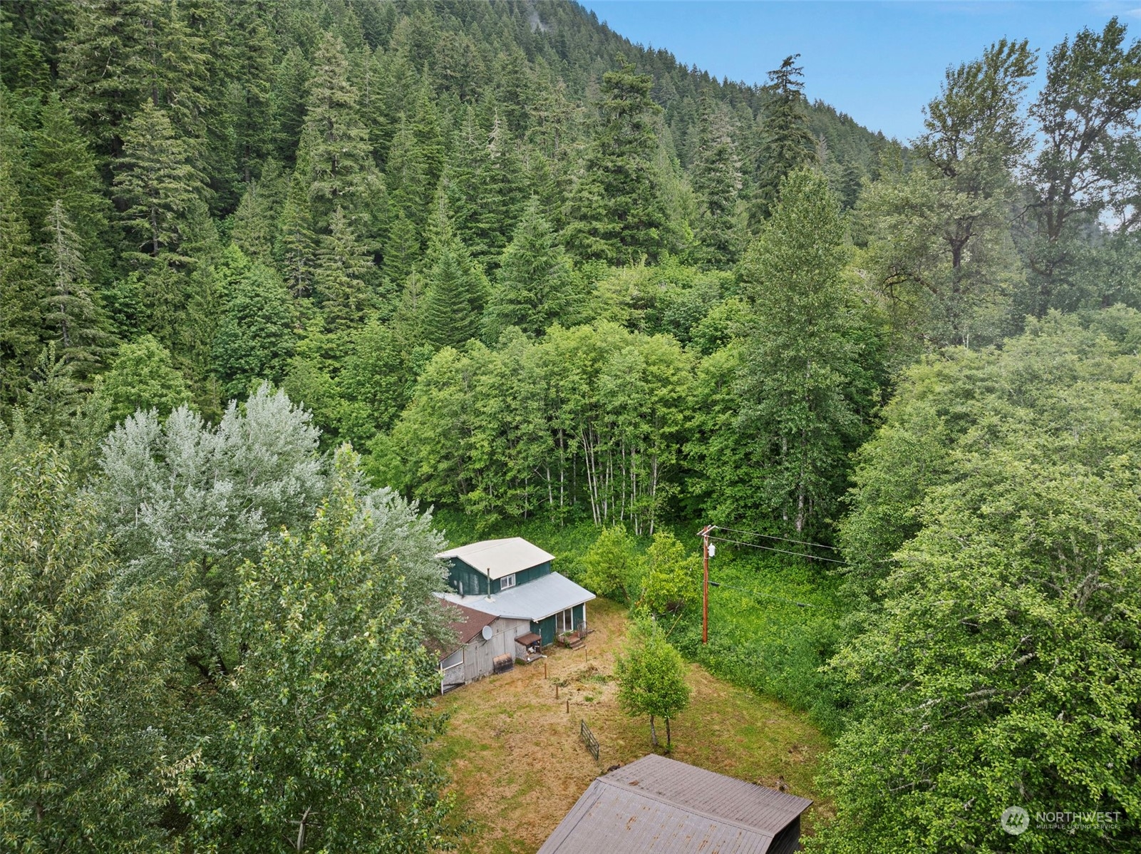 150 Davis Creek Road Randle, WA 98377 - Photo 4 of 31 Gallery Image 4