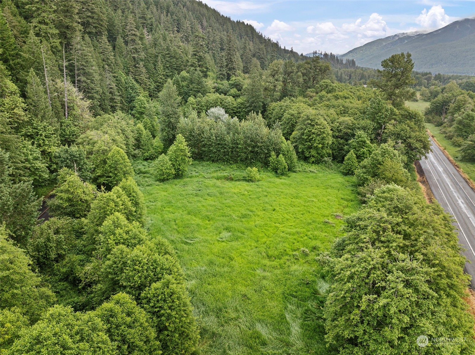150 Davis Creek Road Randle, WA 98377 - Photo 5 of 31 Gallery Image 5
