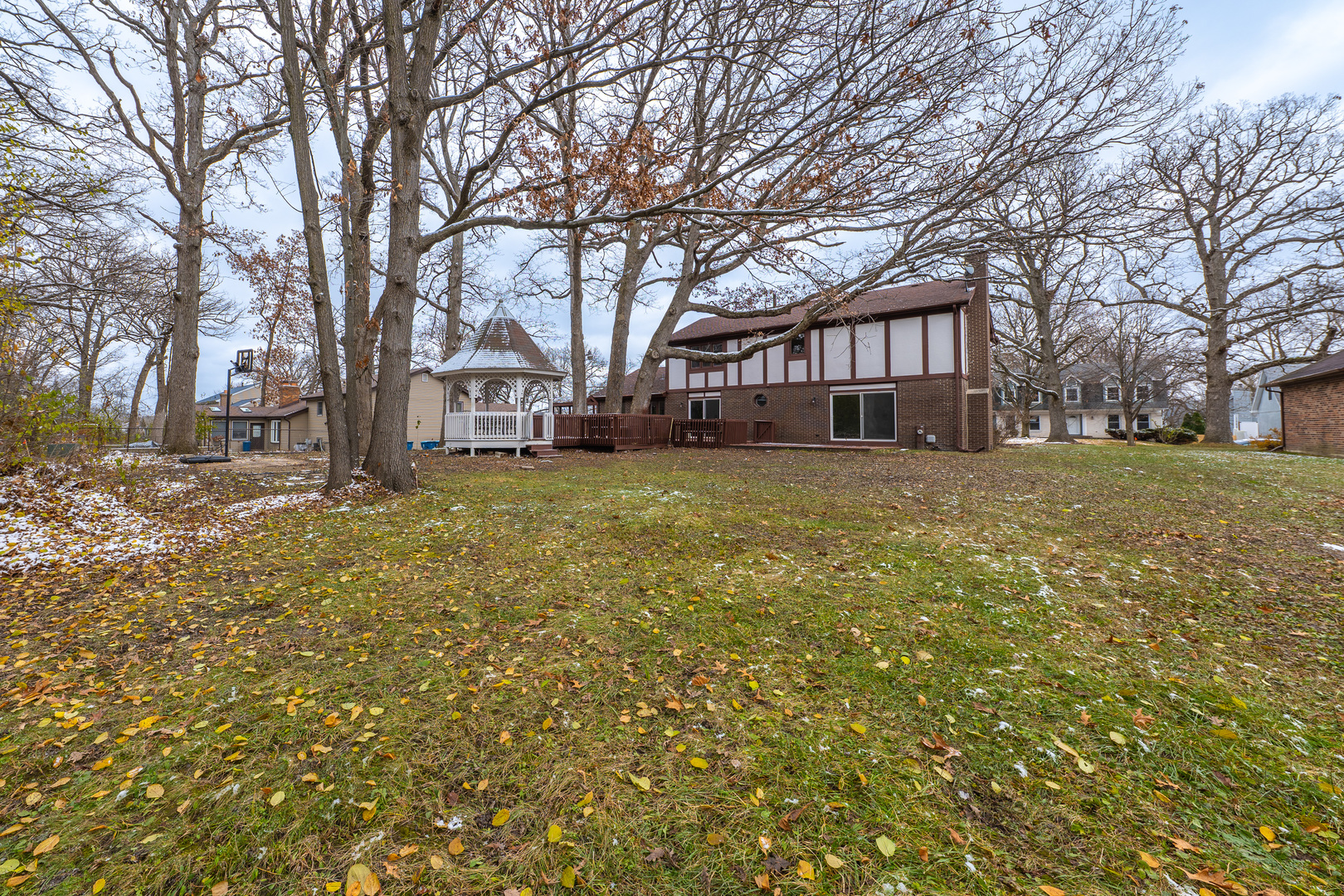 3664 Edward Drive Crete, IL 60417 - Photo 29 of 30 a view of a yard with a house and a large tree