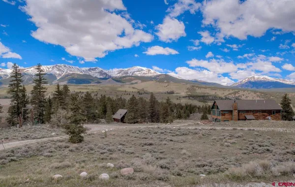 a view of a backyard with large trees