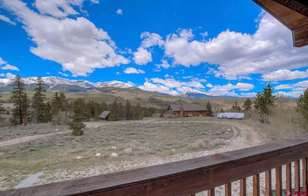 a view of a dry yard with trees