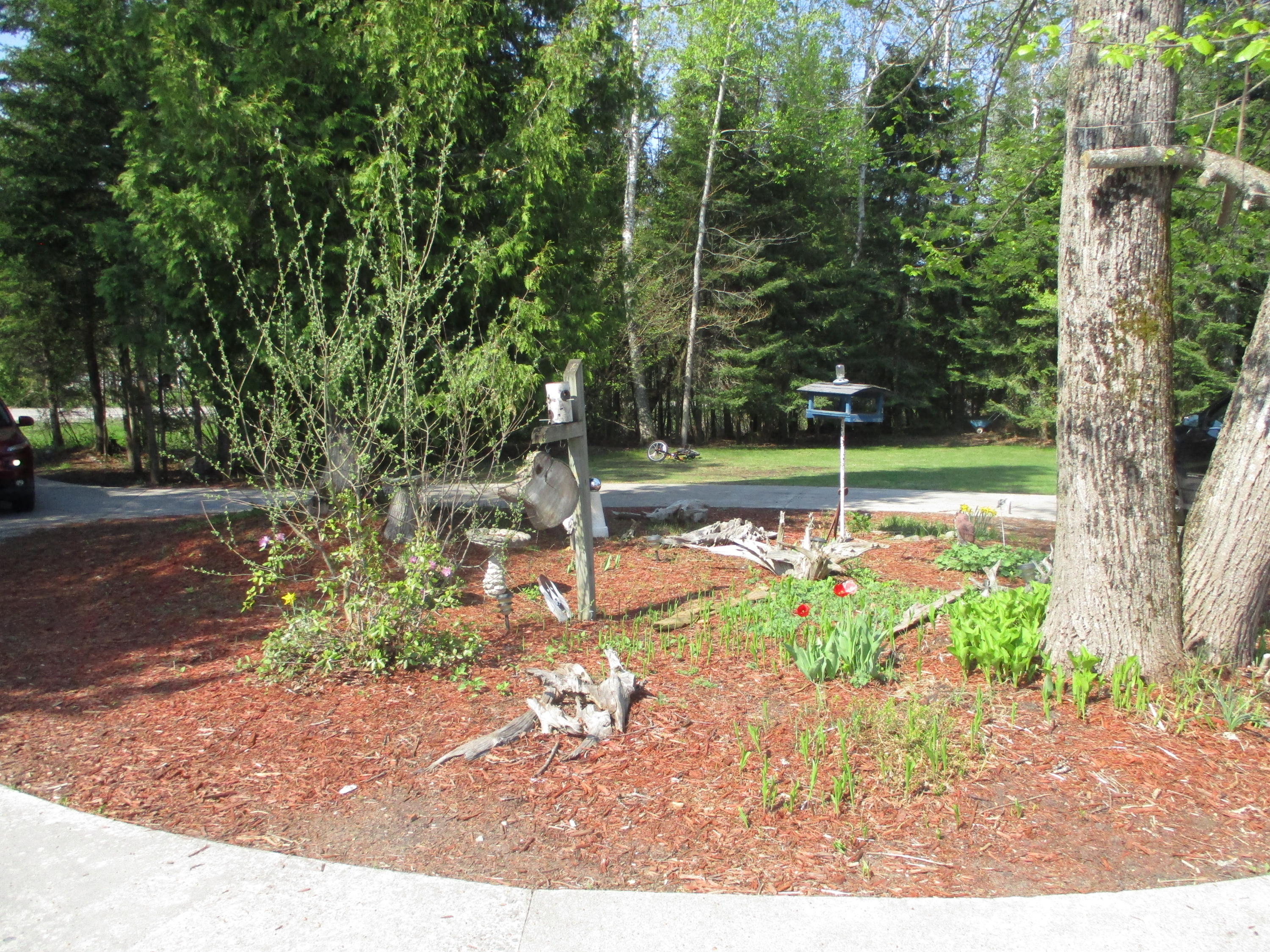 112 Bear Point Road Alpena, MI 49707 - Photo 3 of 10 Gallery Image 3