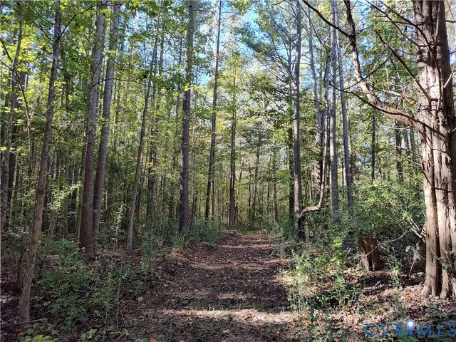 $72,500 | 6.62-ac Piney Green Road, Crewe, VA 23930