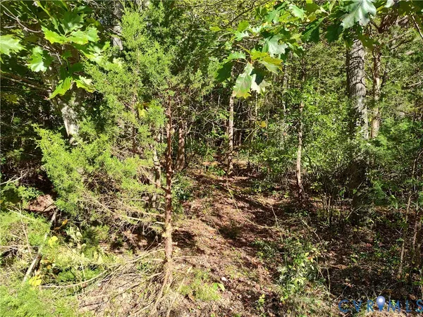 $72,500 | 6.62-ac Piney Green Road, Crewe, VA 23930