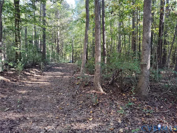 $72,500 | 6.62-ac Piney Green Road, Crewe, VA 23930