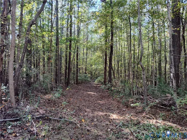 $72,500 | 6.62-ac Piney Green Road, Crewe, VA 23930
