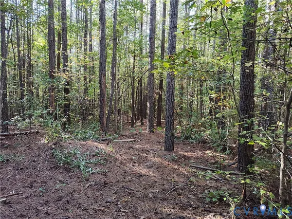 $72,500 | 6.62-ac Piney Green Road, Crewe, VA 23930