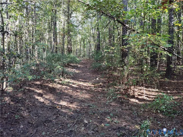 $72,500 | 6.62-ac Piney Green Road, Crewe, VA 23930