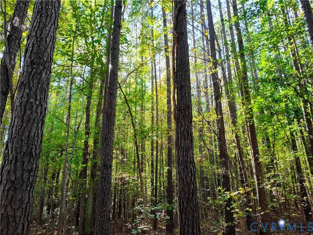 $72,500 | 6.62-ac Piney Green Road, Crewe, VA 23930