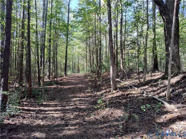 $72,500 | 6.62-ac Piney Green Road, Crewe, VA 23930