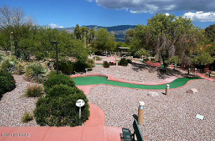 1055 East Ritz Court Tucson, AZ 85755 - Photo 49 of 50