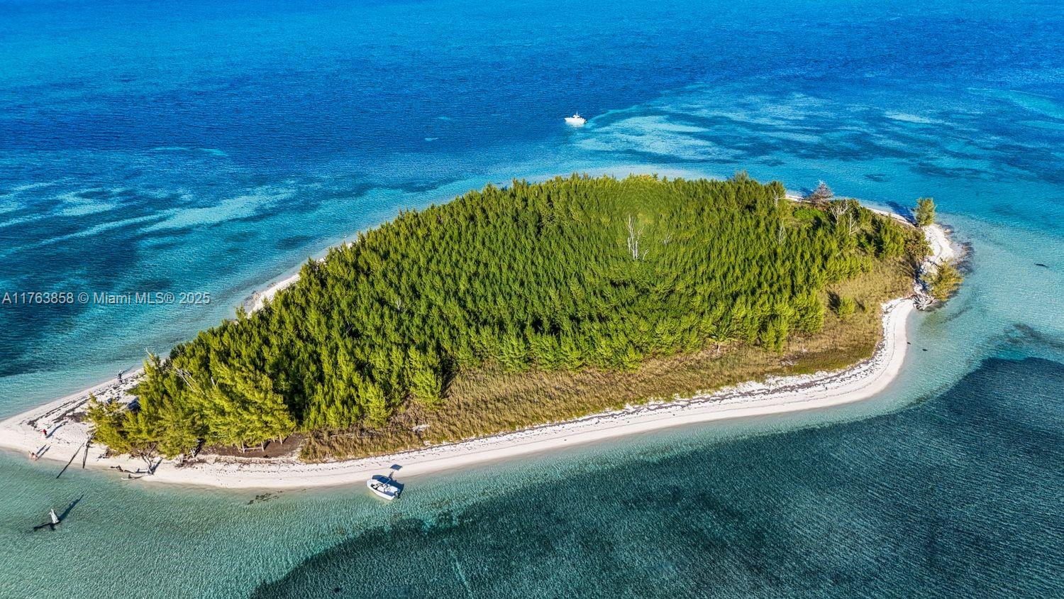 Bahamas Island undefined, Bahamas Island 00000 - Photo 11 of 16 a view of a garden
