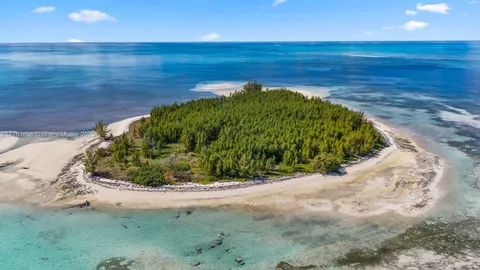 a view of a backyard of a house
