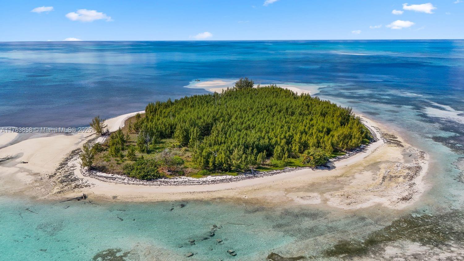 Bahamas Island undefined, Bahamas Island 00000 - Photo 12 of 16 a view of a lake