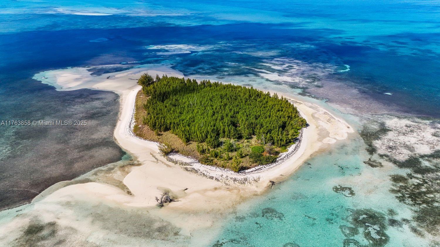 Bahamas Island undefined, Bahamas Island 00000 - Photo 13 of 16 a view of a backyard of a house