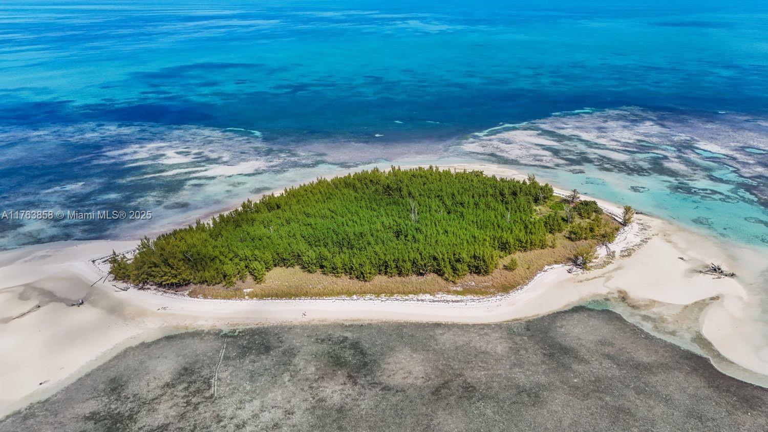 Bahamas Island undefined, Bahamas Island 00000 - Photo 14 of 16 a view of a ocean view