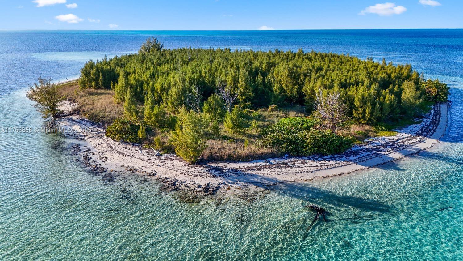 Bahamas Island undefined, Bahamas Island 00000 - Photo 2 of 16 a view of a yard with an ocean beach