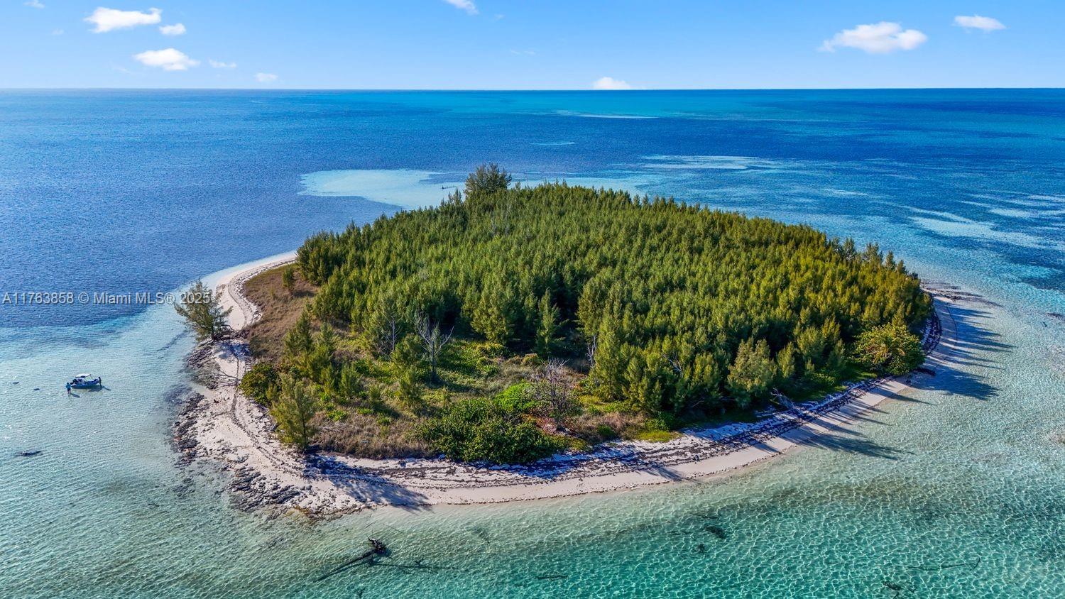 Bahamas Island undefined, Bahamas Island 00000 - Photo 3 of 16 a view of a garden with an ocean view