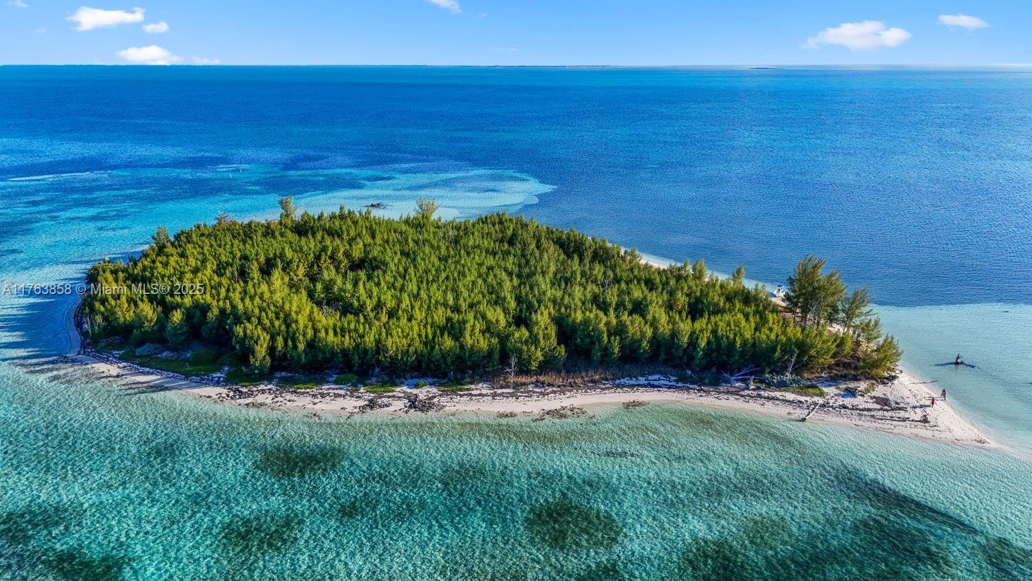 Bahamas Island undefined, Bahamas Island 00000 - Photo 4 of 16 a view of a garden with an ocean