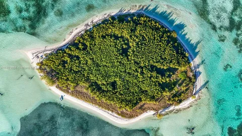 a view of a garden from a balcony
