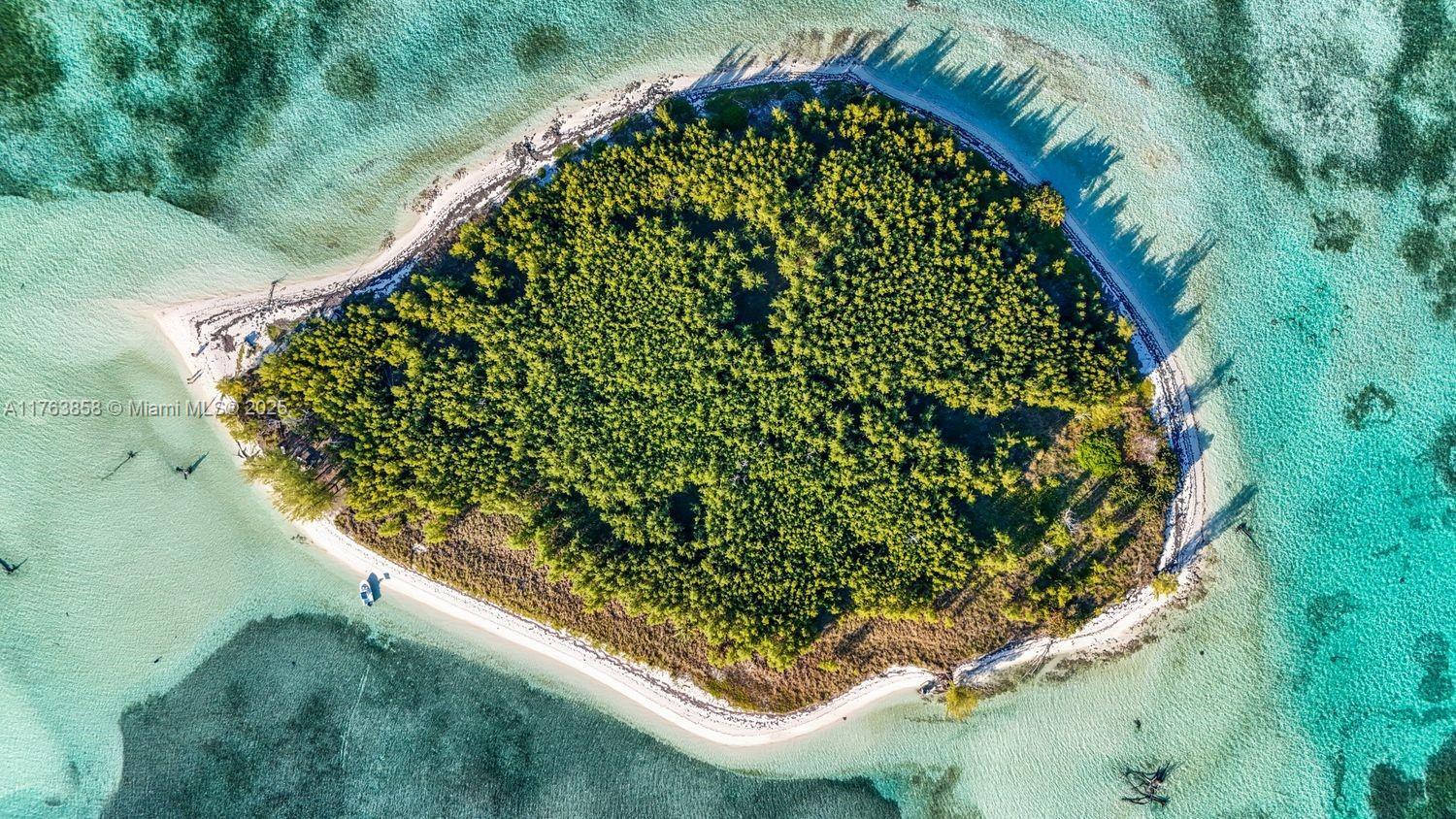 Bahamas Island undefined, Bahamas Island 00000 - Photo 5 of 16 a view of a garden from a balcony