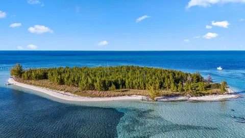 a view of a field with an ocean