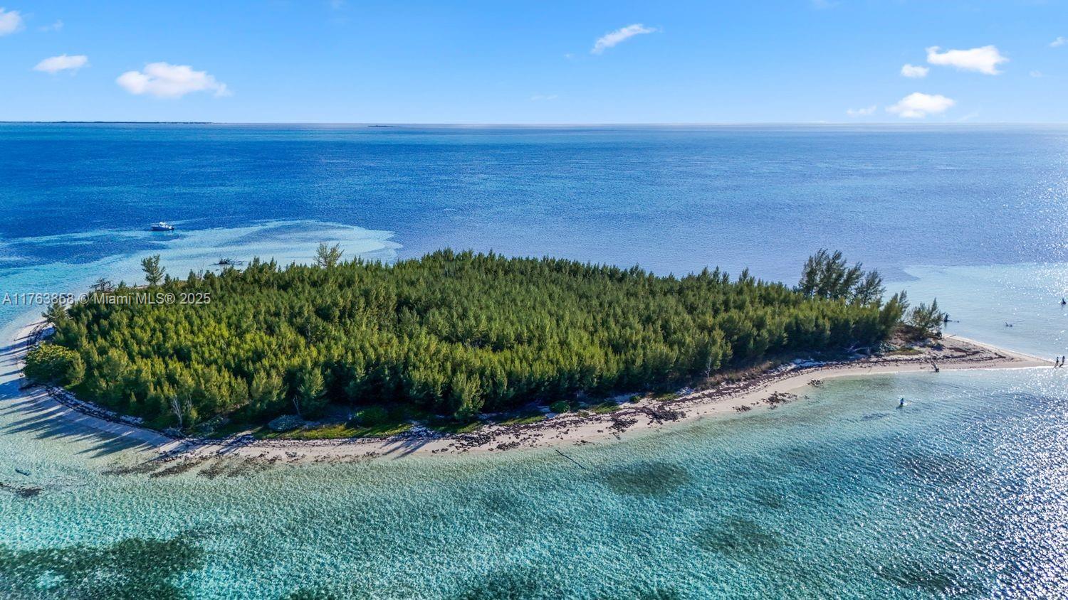 Bahamas Island undefined, Bahamas Island 00000 - Photo 8 of 16 a view of a field with an ocean