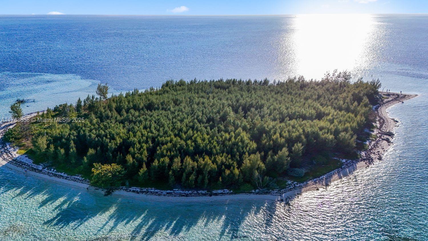 Bahamas Island undefined, Bahamas Island 00000 - Photo 9 of 16 a view of a lake with a yard
