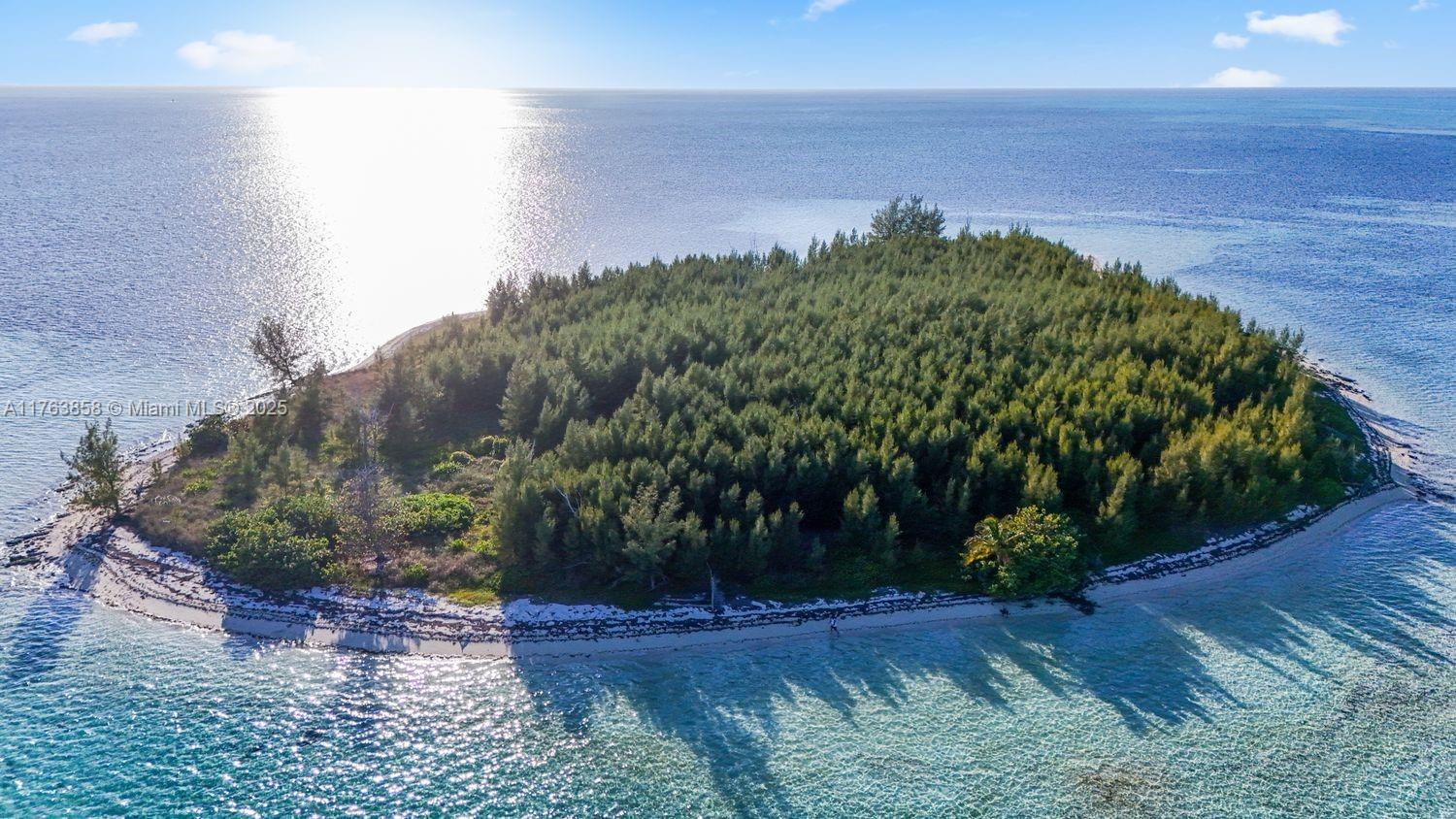 Bahamas Island undefined, Bahamas Island 00000 - Photo 10 of 16 a view of a yard with wooden fence