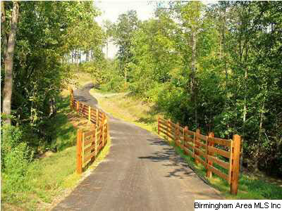 259 Rowntree Path Helena, AL 35080 - Photo 7 of 9 Gallery Image 7